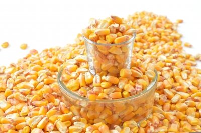 ¿El maíz tiene gluten?