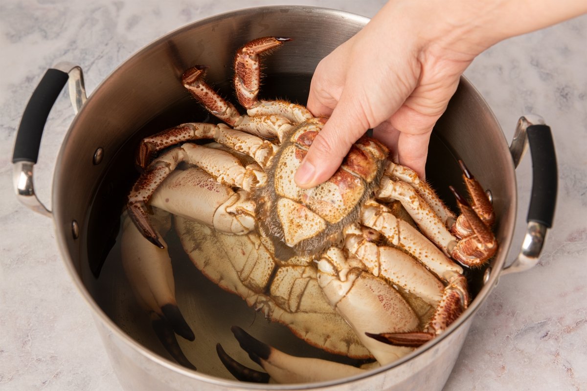 Poniendo el marisco en la olla para cocer buey de mar